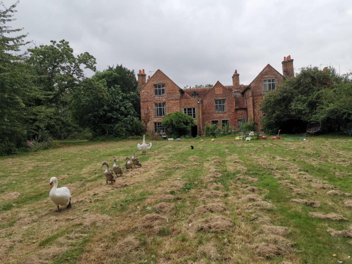 Old Manor House Bed & Breakfast เชพเพอร์ตัน ภายนอก รูปภาพ